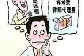 老河口融资清欠服务